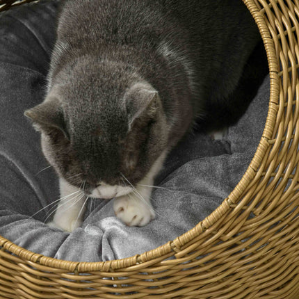 PAWROOM - Rattan kattekurv, kattehus, kattehus med pute for katter opp til 4 kg, kjæledyrseng, kattehule, innendørs, PE rotting, Ø50 x 31 cm, lysebrun