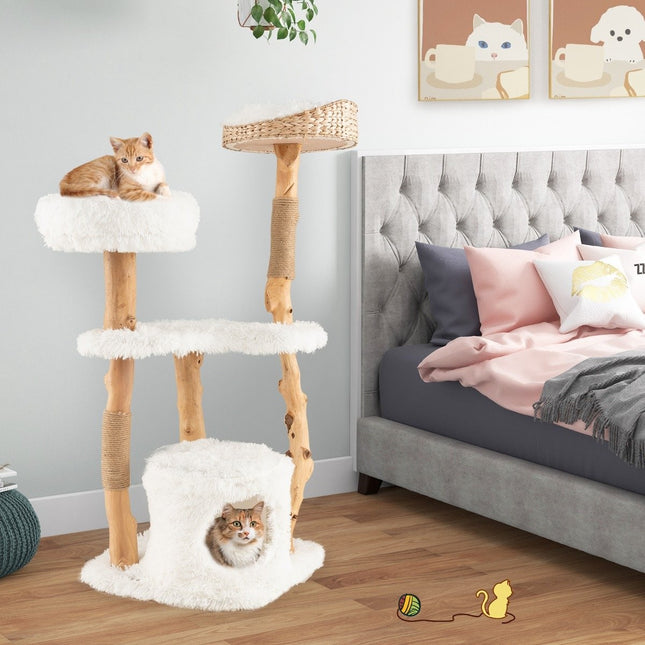 PAWROOM - 124 cm tre kattetre med jute skrapestolper