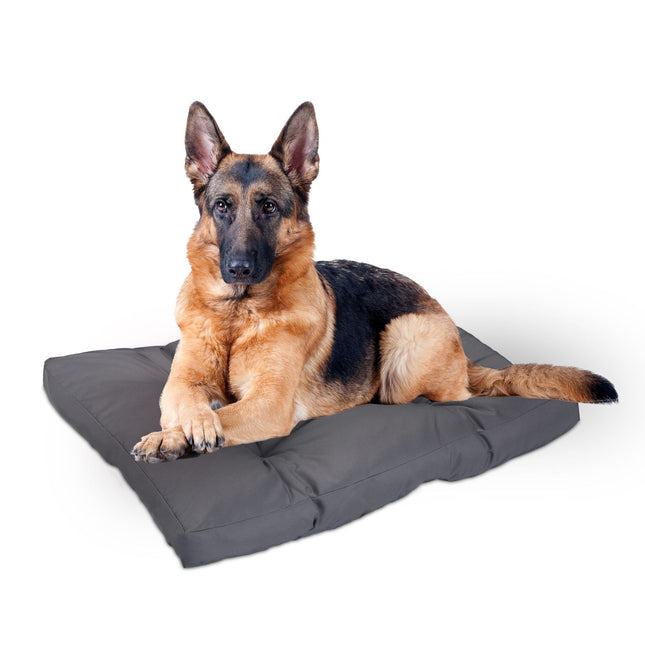 TASSORA - Dog bed gray