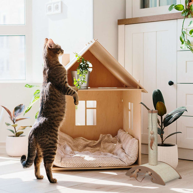 TASSORA - Scratching furniture with scratching board and toys