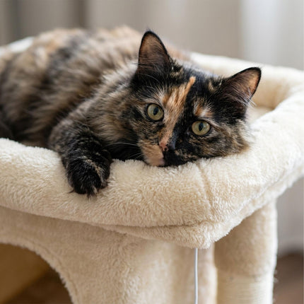 TASSORA - Cat Tree with Cave & Platform, Beige, 60 cm